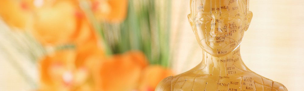 “Fantastic acupuncture treatment, highly recommend!” - Annie Female Acupuncture Doll